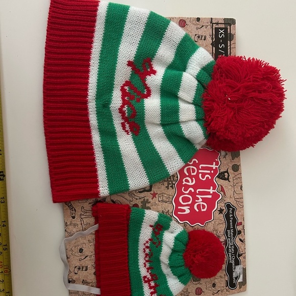 Other - 4/$50 Marching dog and owner unisex Christmas hats 🎁